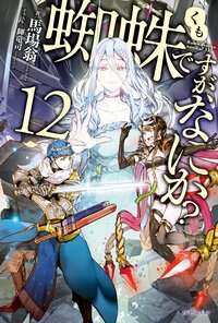 蜘蛛ですが、なにか？ １２