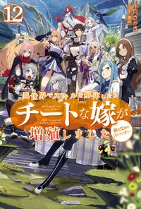 異世界でスキルを解体したらチートな嫁が増殖しました 概念交差のストラクチャー １２