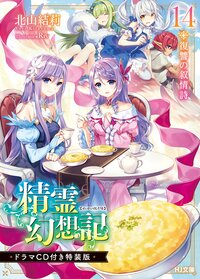 精霊幻想記 ドラマＣＤ付き特装版 １４ 復讐の叙情詩（特装版）