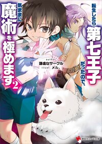 転生したら第七王子だったので、気ままに魔術を極めます ２