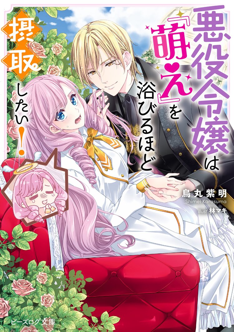 悪役令嬢になんかなりません 私は 普通 の公爵令嬢です とつながりのある作品 キミラノ 悪役令嬢になんかなりません 私は 普通 の公爵令嬢です とつながりのある作品 キミラノ