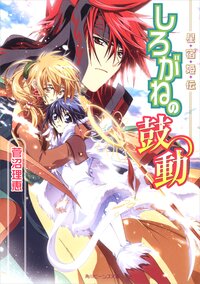 しろがねの鼓動 星宿姫伝