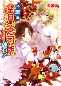 お庭番望月蒼司朗参る！ 新春の儀と異国の姫君