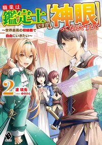 職業は鑑定士ですが【神眼】ってなんですか？ 世界最高の初級職で自由にいきたい ２