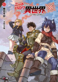 ニートだけどハロワにいったら異世界につれてかれた １２