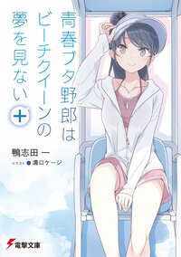 青春ブタ野郎はビーチクイーンの夢を見ない＋