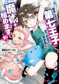 転生したら第七王子だったので、気ままに魔術を極めます １０
